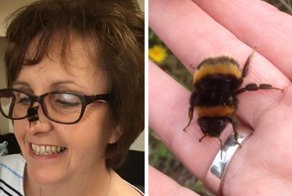 Woman Saves Wingless Bumblebee And Their Friendship Creates Buzz On The Internet