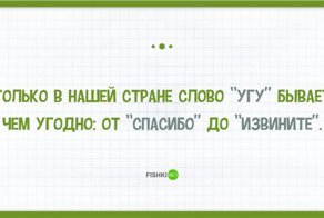 Тонкости и приколы русского языка в картинках