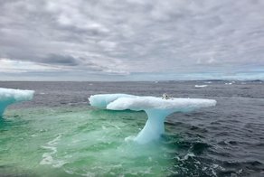 Fishermen Think They Found A Seal Floating On An Iceberg, Then They Take A Closer Look
