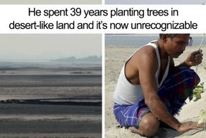 Almost 40 Years Ago a 16-Year-Old Started Planting a Tree Every Day On a Remote Island