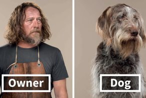 Photographer Puts Dogs And Their Owners Side By Side, And The Resemblance Is Uncanny