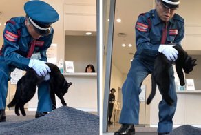 Two Cats In Japan Have Been Trying To Sneak Into A Museum For Years
