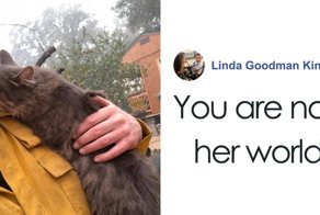 Firefighter Saves Cat From Wildfire In California, And Now She Can’t Thank Him Enough