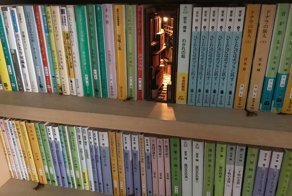Creative Bookends By Japanese Artist That You Have To See From Up Close To Really Appreciate