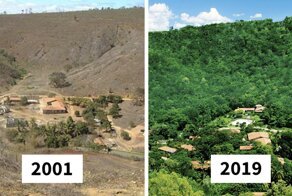 Photographer And His Wife Plant 2 Million Trees In 20 Years To Restore A Destroyed Forest