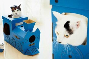 Turn Your Cats Into Furry Train Conductors With Colorful Cardboard Trains