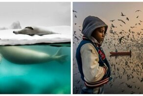 The National Geographic’s Travel Photo Contest Is Over And Here Are The Winners