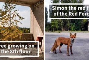 30 Photos Of Nature Winning The Battle Against Civilization In The Exclusion Zone Around Chernobyl