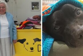 89-Year-Old Woman Has Knitted 450 Blankets For Shelter Dogs