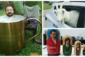 30 Times People Shared Their Weirdest Secondhand Finds