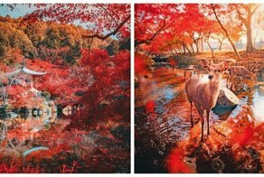 Amazing Pics From Kyoto “Bullet Tour” Show No Matter How Tight Your Schedule, You Should Go