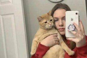This Girl Turns Her Cat Into a Viral Star With a tiktok Video Of "Mr. Sandman"