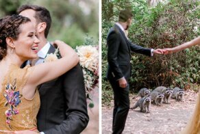 This Couple Was Taking Wedding Photos When A Raccoon Family Decided To Join Them