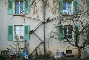 The Swiss City That’s Full Of Cat Ladders