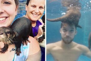 Adults Can Swim With Tiny Otters At This Animal Preserve, And The Photos Are Adorable