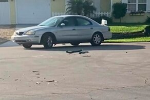 Video Footage Shows Dog Accidentally Starting His Owner's Car And Driving In Circles For An Hour