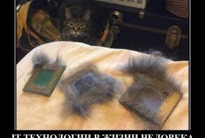 Веселые демотиваторы на понедельник