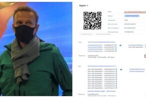 На чем зарабатывает Навальный (8 фото)