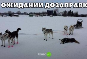 Подборка автомобильных приколов