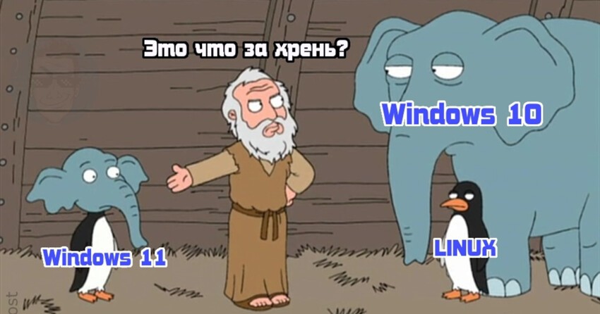 Windows 11:     