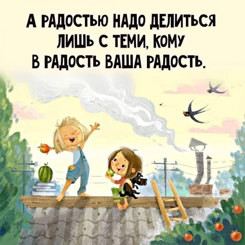 Фишкина солянка Фишкина солянка