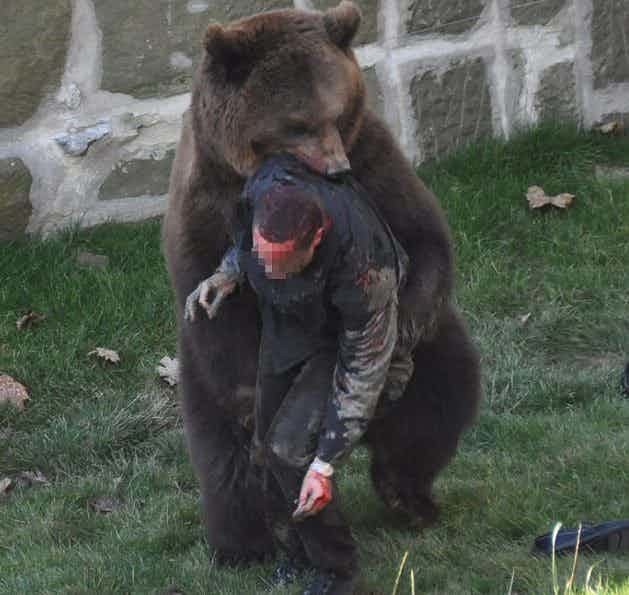 2. Нападение бурого медведя на человека в швейцарском Медвежьем парке, 2009 г.