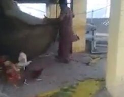 Долгожданная свобода после заточения Долгожданная свобода после заточения