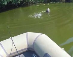 Чего только не увидишь во время рыбалки Чего только не увидишь во время рыбалки
