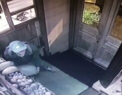 В Санкт-Петербурге воришка получил в дыню за дыню В Санкт-Петербурге воришка получил в дыню за дыню