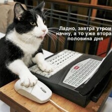 Не хочу работать бухгалтером