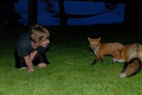 Фотоальбом