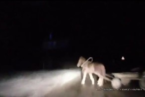 Авария дня часть 427 (фото+видео)