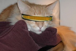 Смешная фотогалерея