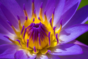 Отпадные фотки