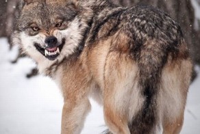 Отпадные фотки