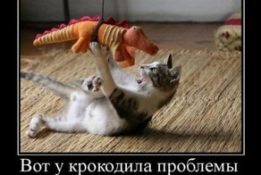 Смешной демотиватор от zubrilov за 25.01.2012 №100872