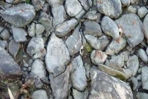 Пикантный фотоприкол