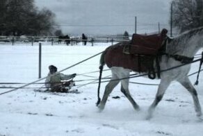 Прикольные фото