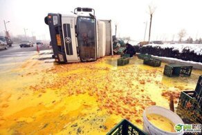 Водитель фуры остался без яиц... (5 фото)