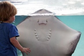 Фотоприкол онлайн бесплатно