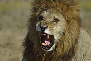 Фотоподборка