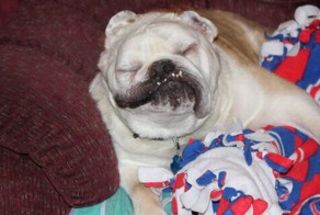 Крутые фотки