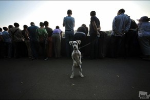 Смешные картинки