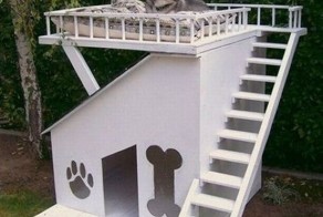 Пикантный фотоприкол