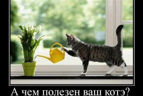 Смешной демотиватор от zubrilov за 03.02.2012 №102031