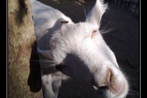 Смешной демотиватор от zubrilov за 03.02.2012 №102036