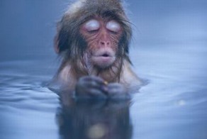 Фотоподборка