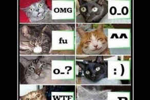 Смешной демотиватор от zubrilov за 10.02.2012 №102746