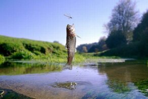 Новый фотоприкол