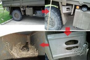 Фото онлайн